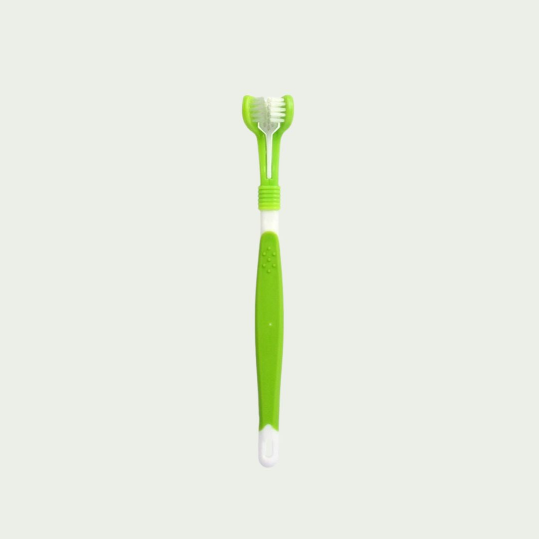 Tooth Brush For Dogs (Adult)