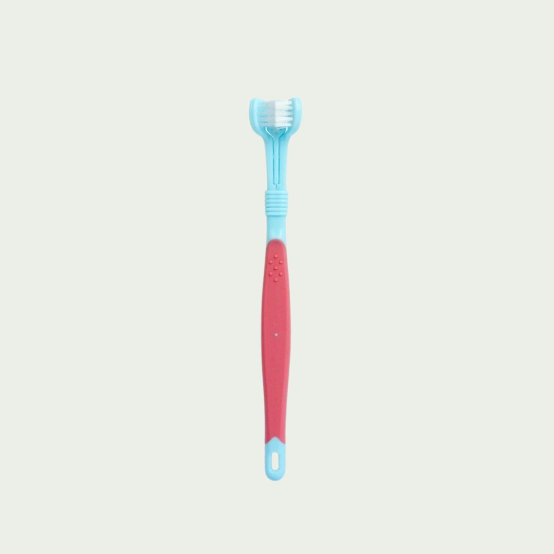 Tooth Brush For Dogs (Adult)